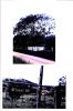 Photo of photos/thumb_Mary McLennan - McLennans Falls, Hartys Plain